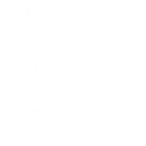 head_white